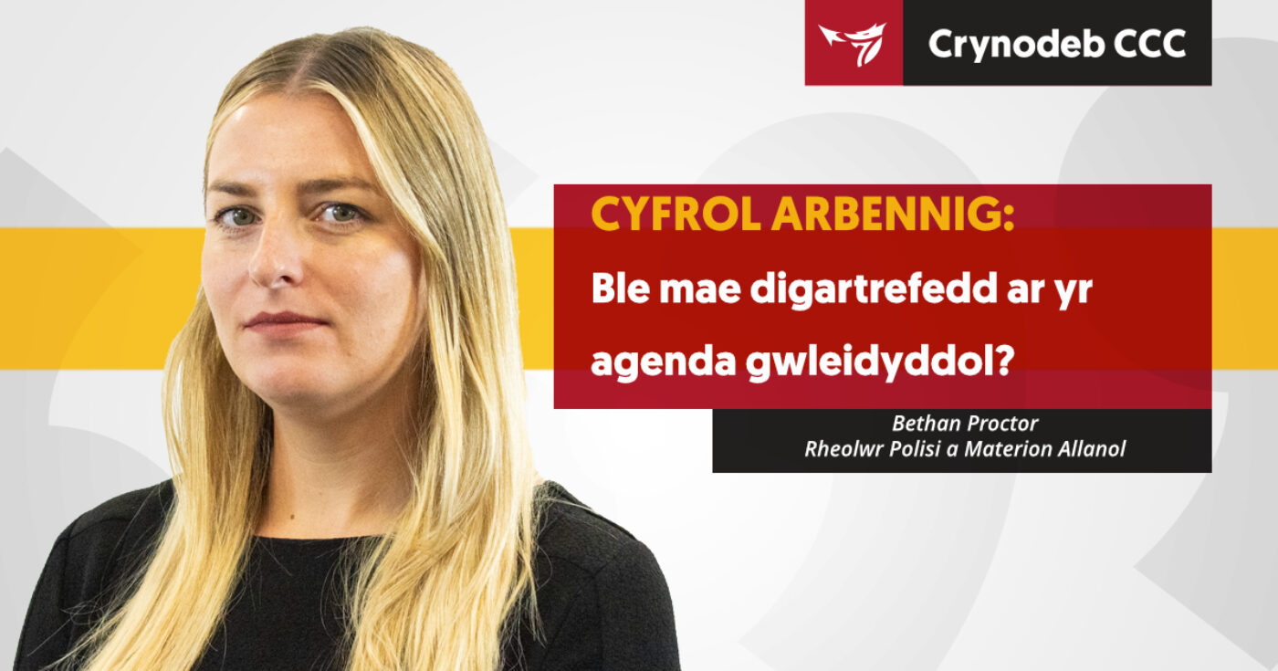 Ble mae digartrefedd ar yr agenda gwleidyddol?