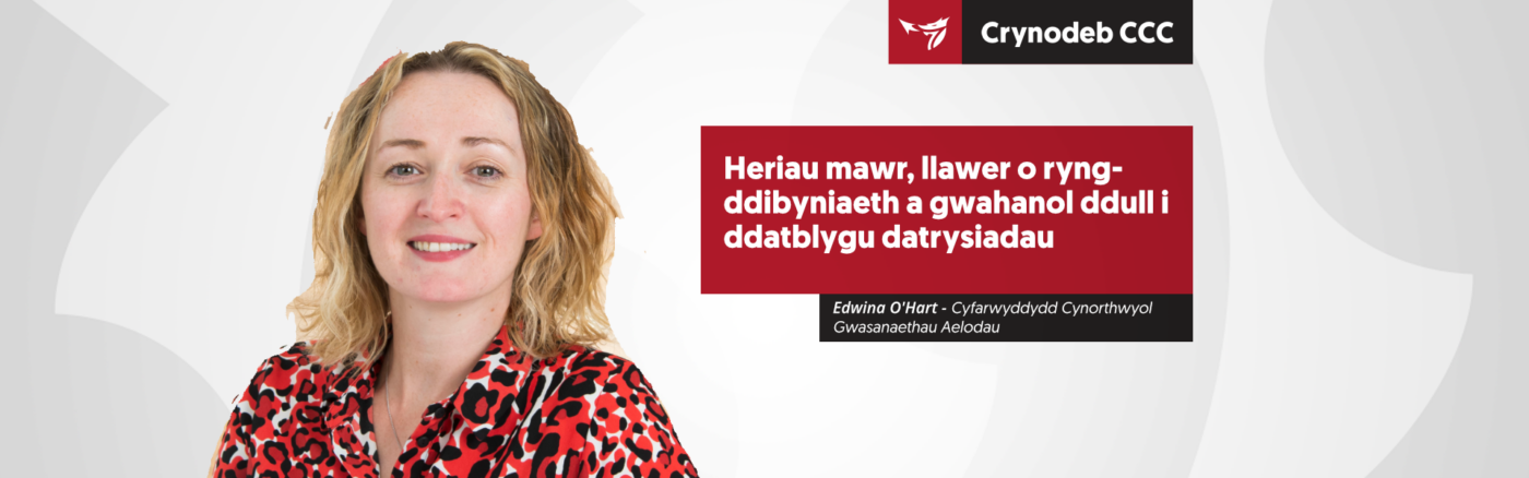 Heriau mawr, llawer o ryng-ddibyniaeth a gwahanol ddull i ddatblygu datrysiadau