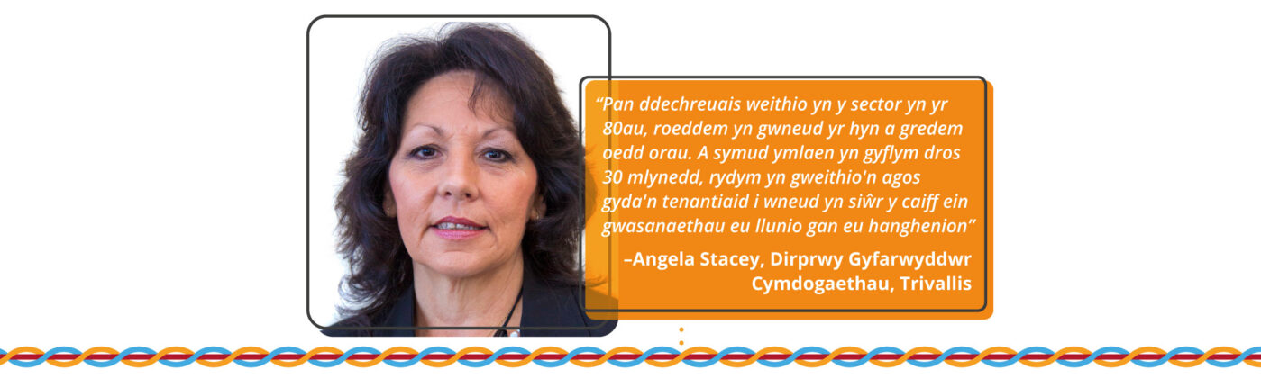 Y sector tai ddoe a heddiw